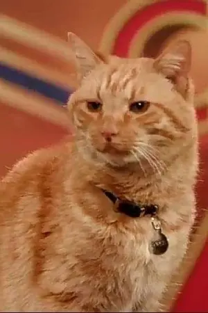 ปกนิยาย [เนื้อเพลง]ฤทธิ์ณรงค์