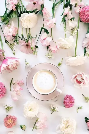 ปกนิยาย SF : OS : [ hongmark ]