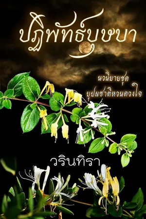 ปกนิยาย