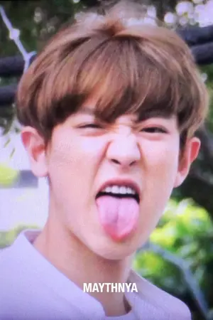 ปกนิยาย FIC CHANBAEK วายร้ายชานยอล