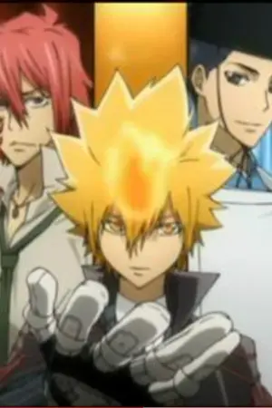 ปกนิยาย [FIC REBORN] น้องสาววองโกเล่รุ่นที่ 1!!!!