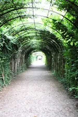 ปกนิยาย ส อ ง ภ วั ง ค์