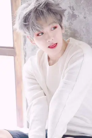 ปกนิยาย Miolin วุ่นวาย เด็กมาเฟีย  yaoi