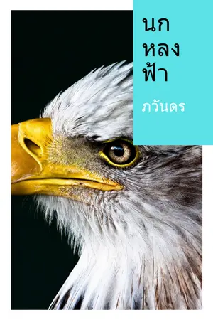 ปกนิยาย