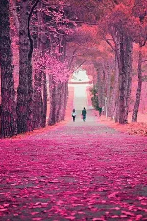 ปกนิยาย Soul eaterสู่ภายใต้แสงเงาที่แสนเดียวดาย แม่กุญแจแห่งความมืดจะถูกปลดลอค(มาชิเอะ x โทชิ)