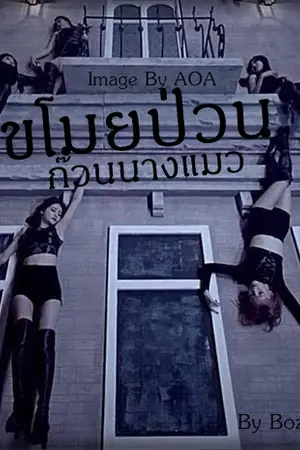 ปกนิยาย