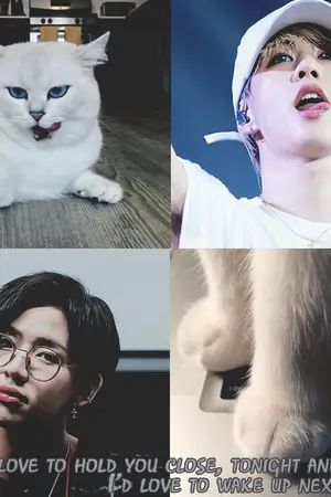 ปกนิยาย [GOT7] Like a cat Like a mark (markbam) (BNior)