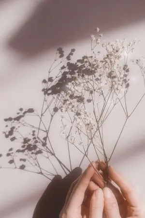 ปกนิยาย Blossom Series — MarkBam