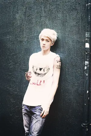 ปกนิยาย รักร้ายนายสุดหล่อ(in love) Sehun x You