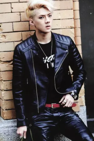 ปกนิยาย SeHun x you (จำเลยรัก)