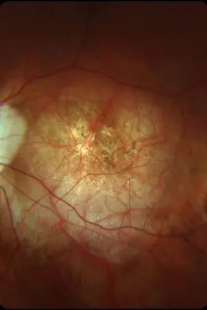 ปกนิยาย สหัสวรรษเเห่งความผิดปกติ ภาค กำเนิดผู้กุมเอกภพ