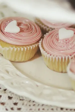 ปกนิยาย The kidnap เกมรักอลวน