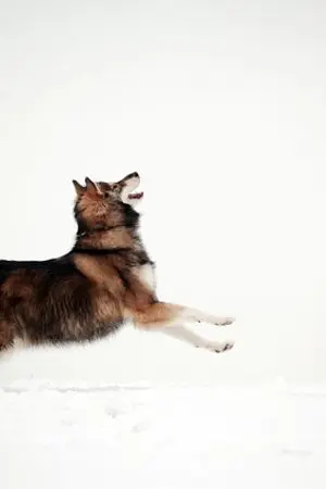 ปกนิยาย Oh! พระเจ้า ส่งเขาไปวัลฮัลลาเถอะ