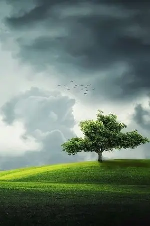 ปกนิยาย ตัวตลกของเธอ(PIERROT)​-ตอนเดียวจบ