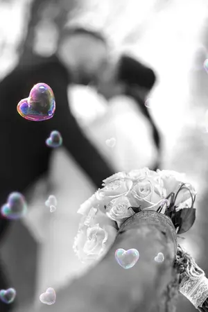 ปกนิยาย ด้วยร้ายและใจดำ