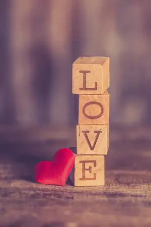 ปกนิยาย ภาษาสื่อรัก (เรื่องสั้น)