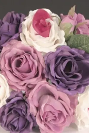 ปกนิยาย { R O S E } JINHYE #bnior #therosebn