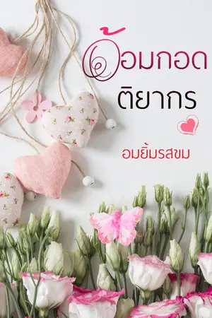 ปกนิยาย