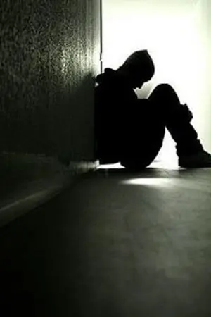 ปกนิยาย ขอเพียงเงา...ในแววตา