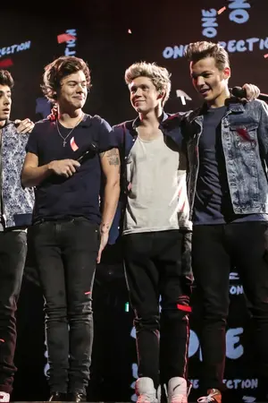 ปกนิยาย BesideYou1D Project