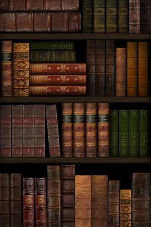 ปกนิยาย BOS diary