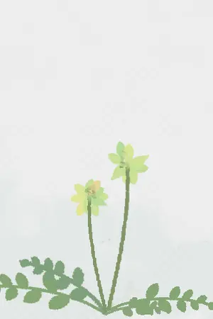 ปกนิยาย Tempopo #Doten