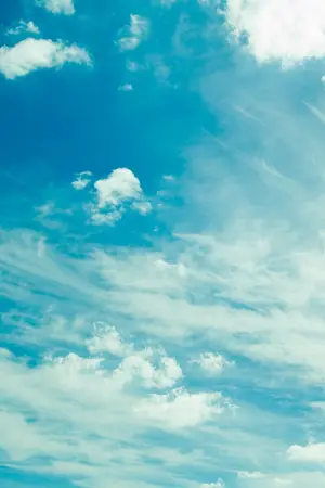 ปกนิยาย [SF GOT7] unknown (all jackson) by Orgel