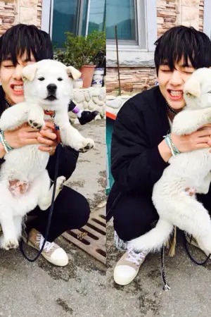 ปกนิยาย BTS x YOU เราแต่งงานกันแล้วนะ.....