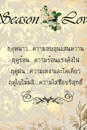 ปกนิยาย