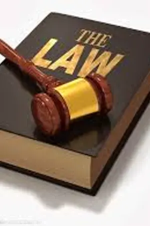 ปกนิยาย สรุปแพ่ง