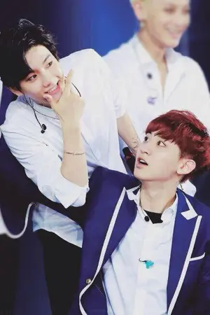 ปกนิยาย [ EXO ] :: A n n o y :: Chanbaek  ft. D.O. | #ฟิคบนรค