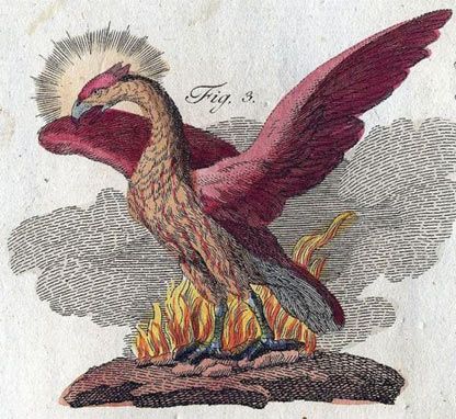 Phoenix rising from the ashes in Book of Mythological Creatures&nbsp;