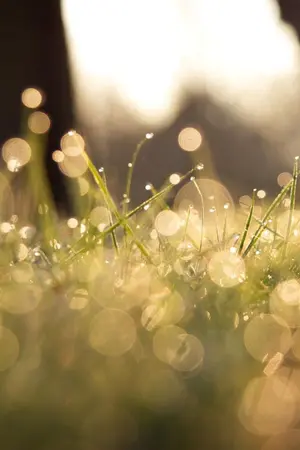 ปกนิยาย sf/os:(AllTen)_ONE HEART ก็เตนล์น่ะมีหัวใจดวงเดียว