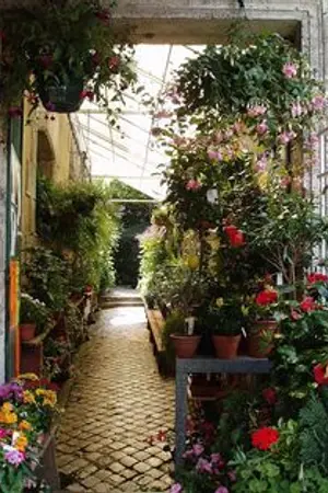 ปกนิยาย (exo) - POTPOURRI - SeKai, ChanBaek