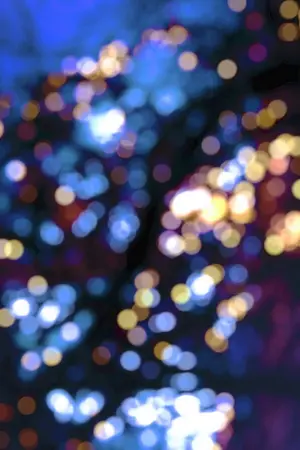 ปกนิยาย [ONE SHOT] WISH YOU [BLACKPINK] [LICEJEN]