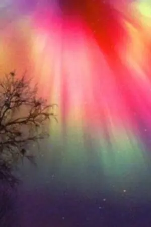 ปกนิยาย The magic of nothingness เวทย์มนแห่งความว่างเปล่า