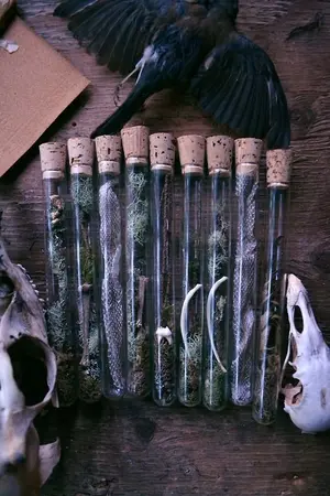 ปกนิยาย ตำราตัวละคร