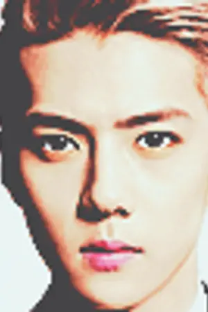 ปกนิยาย ♔ルハン   HUNHAN