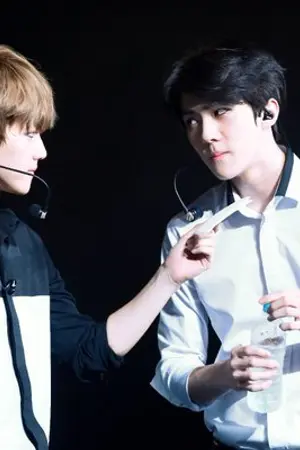 ปกนิยาย Dark Brown Hair