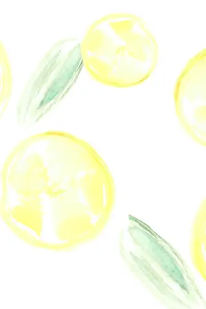 ปกนิยาย PRODUCE101 : Lemon PuddING