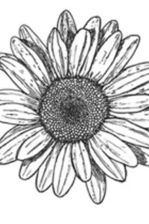 ปกนิยาย SF / Once Again [ CHANBAEK ]