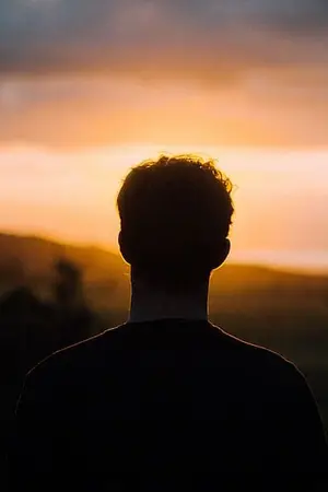 ปกนิยาย Who's the liar?