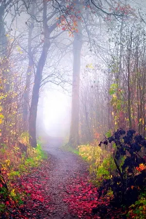 ปกนิยาย TIME  MACHINE   [EXO,RVV]