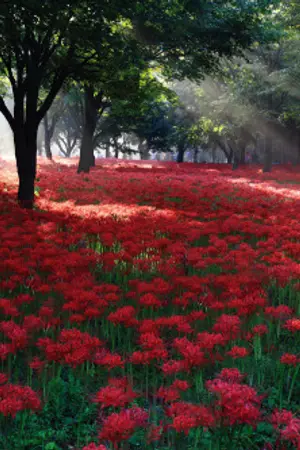 ปกนิยาย คู่สอง