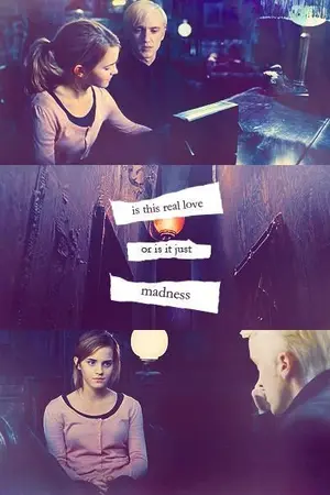 ปกนิยาย Apartment 23 & 24 [Draco x Hermione] นิยายแปล