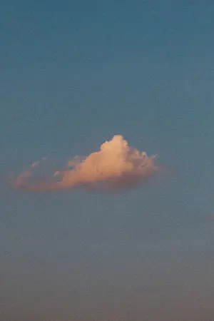 ปกนิยาย WITHOUT OUR STAR : ในคืนที่ฟ้าไม่มีดาว (YAOI)