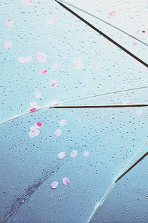 ปกนิยาย [OS]รักมากับฝน