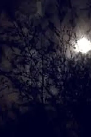 ปกนิยาย Jocker In Nightmare.