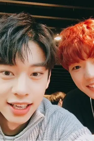 ปกนิยาย My Bromance { youngmin x donghyun }