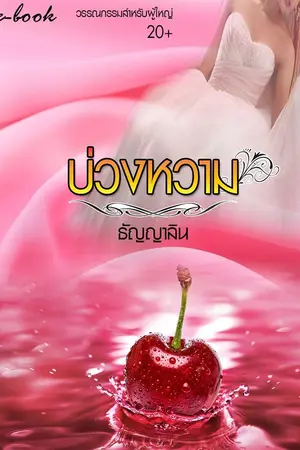 ปกนิยาย